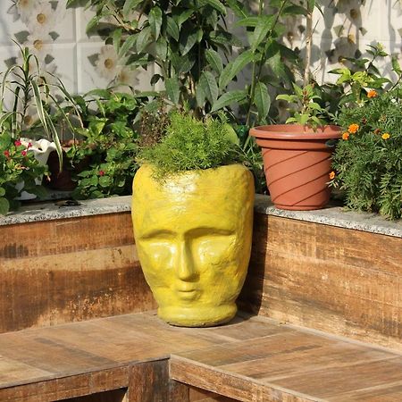 The Hideout Agra Homestay Near Taj Экстерьер фото