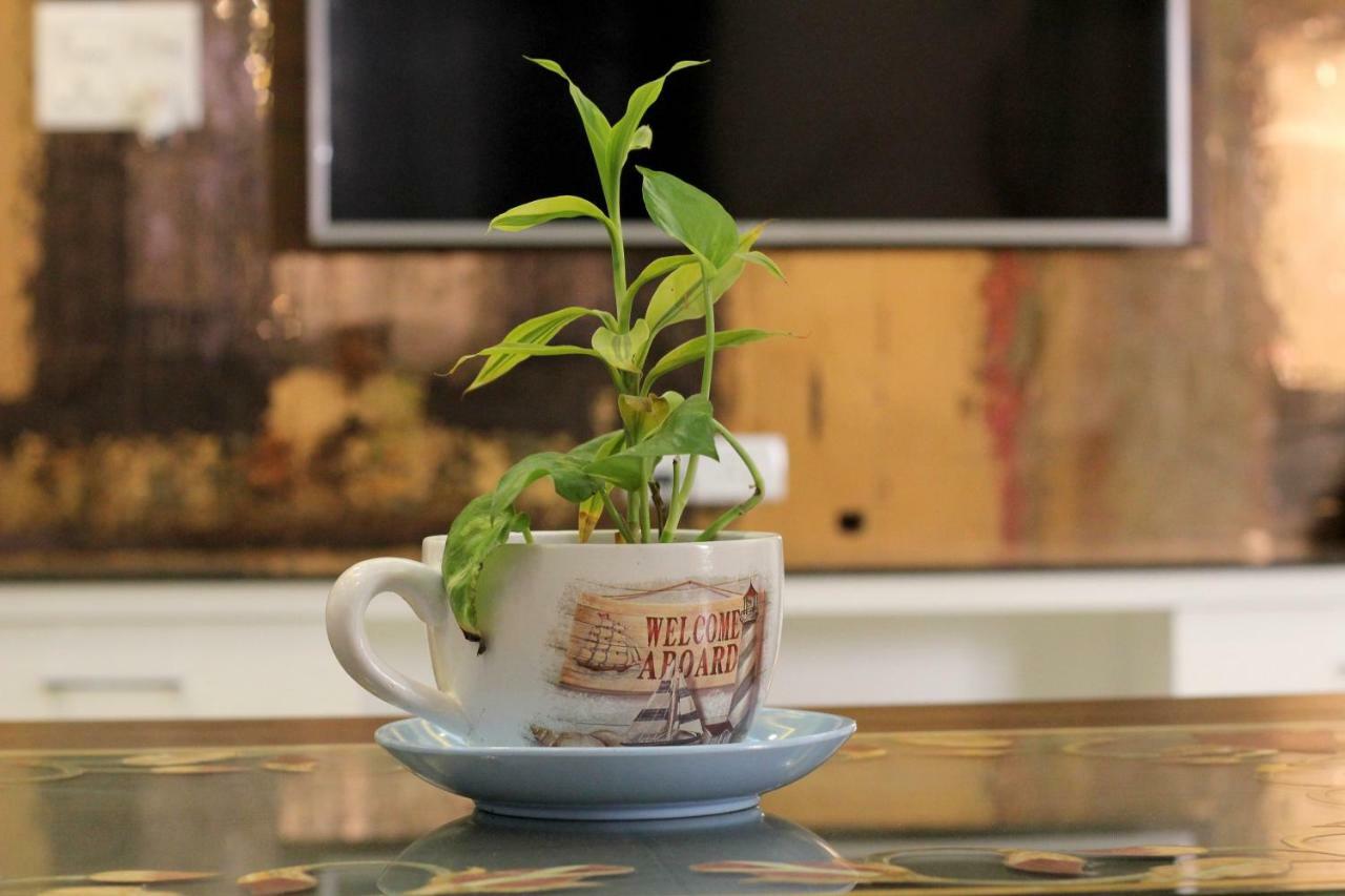 The Hideout Agra Homestay Near Taj Экстерьер фото